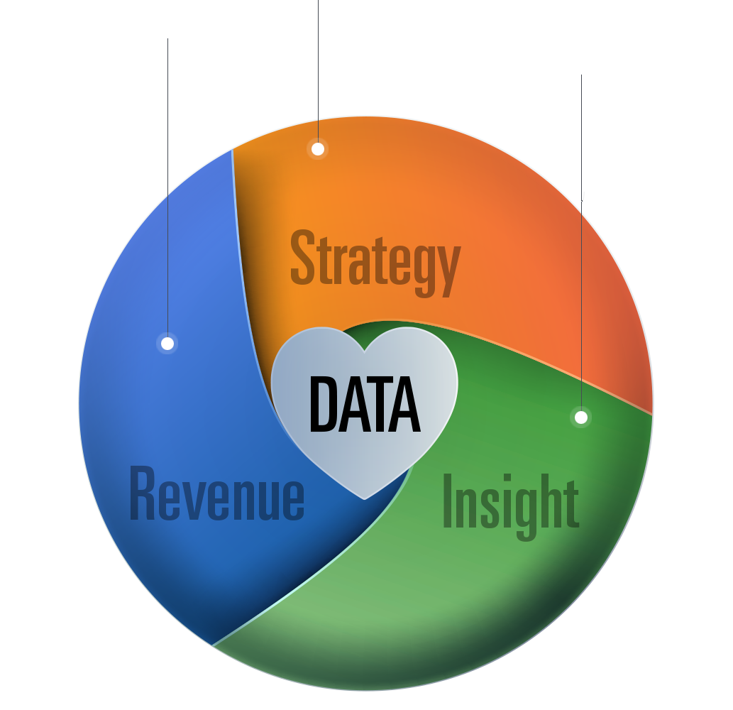 Circular infographic with sections labeled Data, Strategy, Revenue, and Insight.